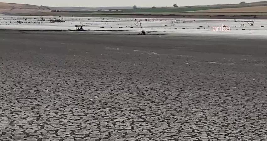 Gıda Mühendisleri Odası Yönetim Kurulu Başkanı Yaşar Üzümcü, "Kuraklığın ve