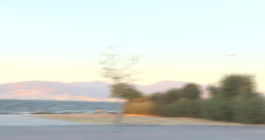 İzmirli sinemaseverler, İzmir Büyükşehir Belediyesi’nin Yeniden Sinematek Arabada Film Keyfi