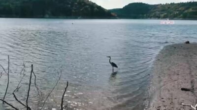 Zonguldak'ın Karadeniz Ereğli ilçesinin içme suyu ihtiyacının büyük bölümünü karşılayan