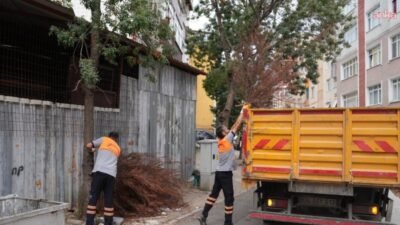 Kartal Belediyesi ekipleri, sabahın erken saatlerinden akşam geç saatlere kadar
