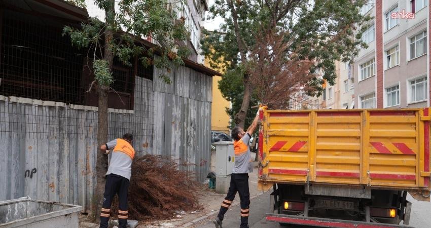 Kartal Belediyesi ekipleri, sabahın erken saatlerinden akşam geç saatlere kadar
