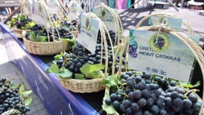 Karabağlar Belediyesi ve İzmir Büyükşehir Belediyesi iş birliğiyle bu yıl