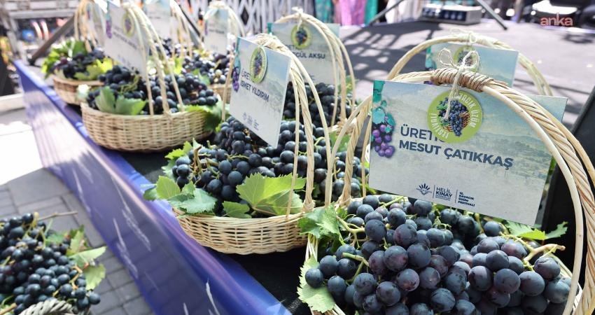 Kavacık’ta festival zamanı Karabağlar Belediyesi ve İzmir Büyükşehir Belediyesi iş birliğiyle bu yıl