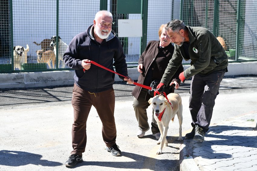 Mamak Belediyesi, Kutludüğün’deki Sokak Hayvanları Rehabilitasyon ve Geçici Bakım Merkezi’ni