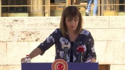 HDK Eş Sözcüsü ve DEM Parti Erzurum Milletvekili Meral Danış