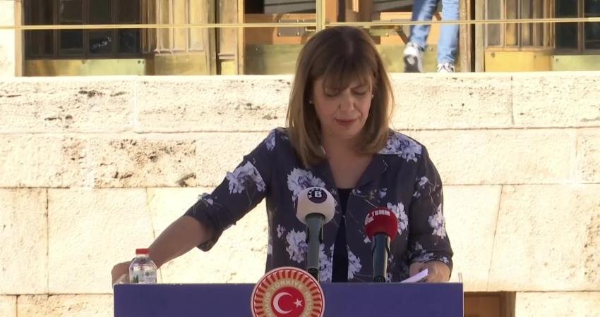 HDK Eş Sözcüsü ve DEM Parti Erzurum Milletvekili Meral Danış