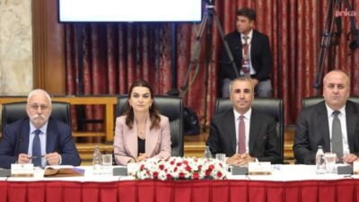 Milli Dayanışma Kardeşlik ve Demokrasi Komisyonu'nda konuşan DEM Parti Grup