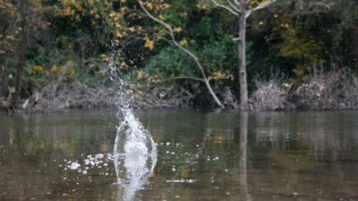 Kâinat usta bir öğretici, kıymetli bir öğretmendir bizim için. Bazen