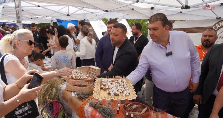 Seferihisar Belediyesi’nin düzenlediği Ata Ekmeği ve Armola Şenliği, bu yıl