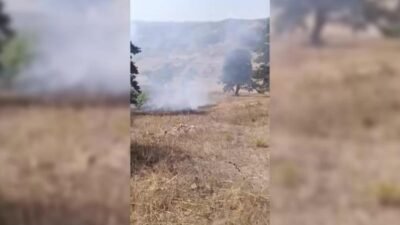 Sinop’un Durağan ilçesinde çıkan arazi yangını, büyümeden söndürüldü. Yangında yaralanan