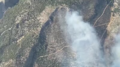 Aydın’ın Söke ilçesi Sazlı Mahallesi’nde yol kenarında başlayan ot yangını