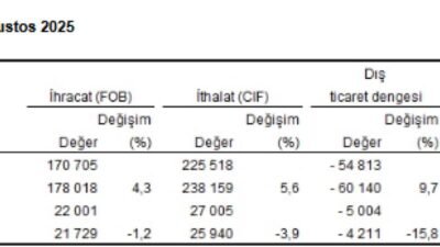 Türkiye İstatistik Kurumu (TÜİK), Ağustos ayı Dış Ticaret İstatistiklerini açıkladı.