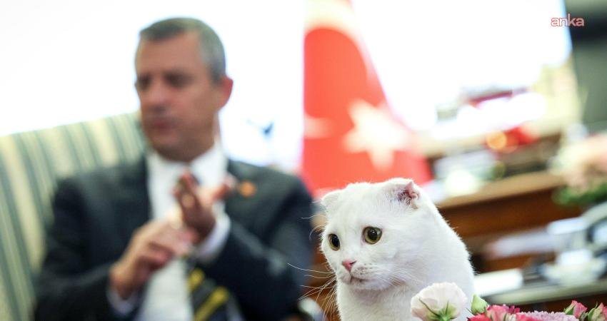 CHP Genel Başkanı Özgür Özel, 4 Ekim Dünya Hayvanları Koruma