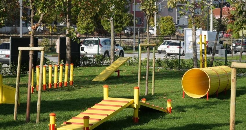 Balıkesir Büyükşehir Belediyesi “Pati Park”ı hizmete açtı. Avlu Yaşam Merkezi’nde