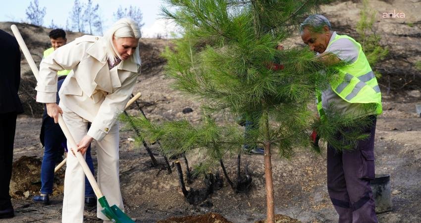 Bilecik ziyaretleri kapsamında Osmaneli ilçesindeki yangın bölgesinde incelemelerde bulunan Filibe-Rodop
