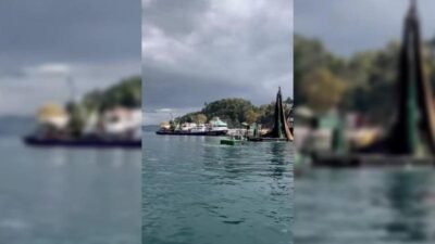İstanbul Boğazı'nın Karadeniz girişinde hafta sonu çekilmiş, gırgırların toplu balık