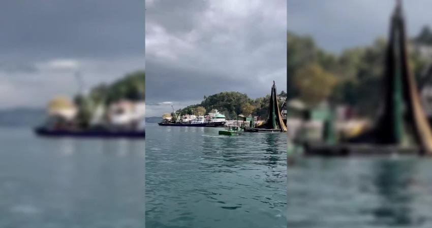 İstanbul Boğazı'nın Karadeniz girişinde hafta sonu çekilmiş, gırgırların toplu balık