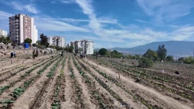 Bornova Belediyesi’nin 6 farklı noktada kurduğu Kent Bostanları’nda 481 kadın,