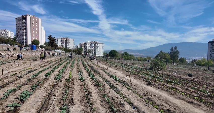 Bornova Belediyesi’nin 6 farklı noktada kurduğu Kent Bostanları’nda 481 kadın,