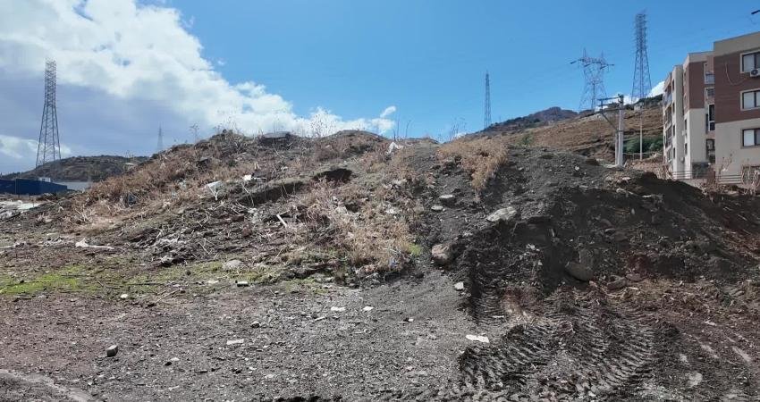 Bornova Belediyesi, Işıkkent’te atıl alanı misket üzümü bağına dönüştürüyor Bornova Belediyesi, Işıkkent’teki 9 dönümlük atıl alanı Bornova misket üzümü