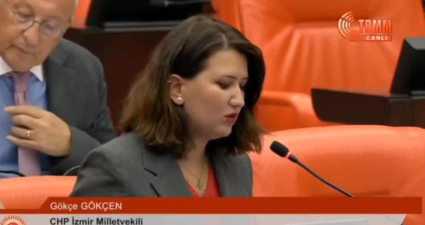 CHP Genel Başkan Yardımcısı Gökçe Gökçen, CHP İstanbul İl Başkanlığı'nın polis