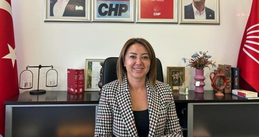 CHP Genel Başkan Yardımcısı Gül Çiftci, Yargıtay Başkanı Ömer Kerkez'in