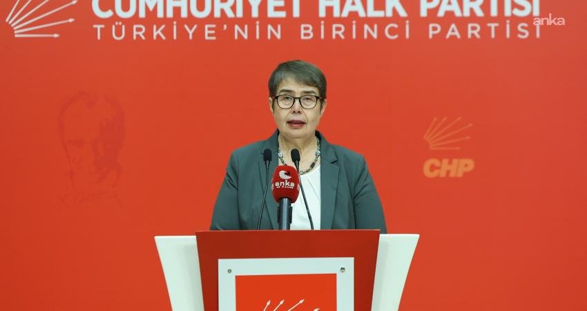 CHP Genel Başkan Yardımcısı Zeliha Aksaz Şahbaz, Sağlık Bakanlığı’nın aile