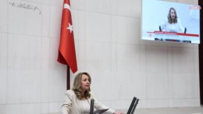 CHP Ankara Milletvekili Semra Dinçer, Türkiye’de artan asayiş sorunlarının tüm