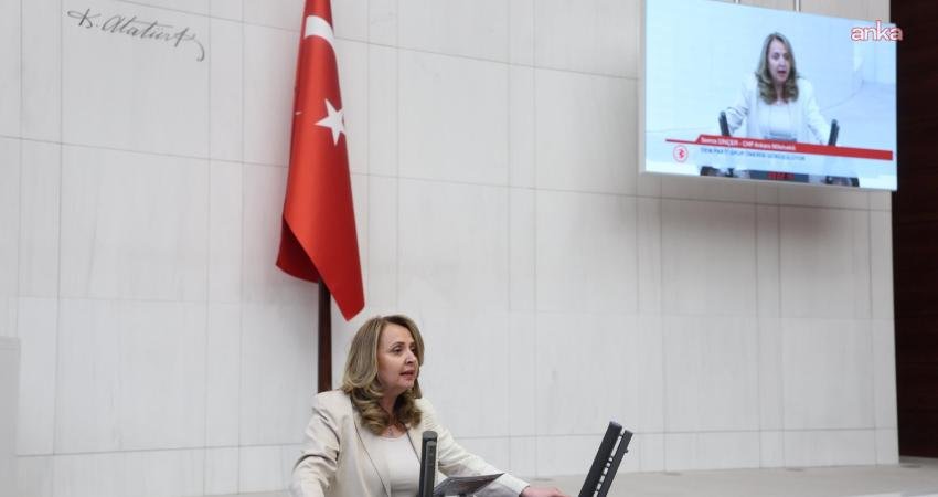 CHP Ankara Milletvekili Semra Dinçer, Türkiye’de artan asayiş sorunlarının tüm