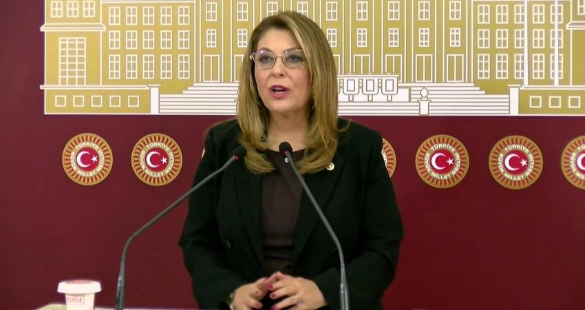 CHP Giresun Milletvekili Elvan Işık Gezmiş, Giresun'a İstiklal Madalyası verilmesi