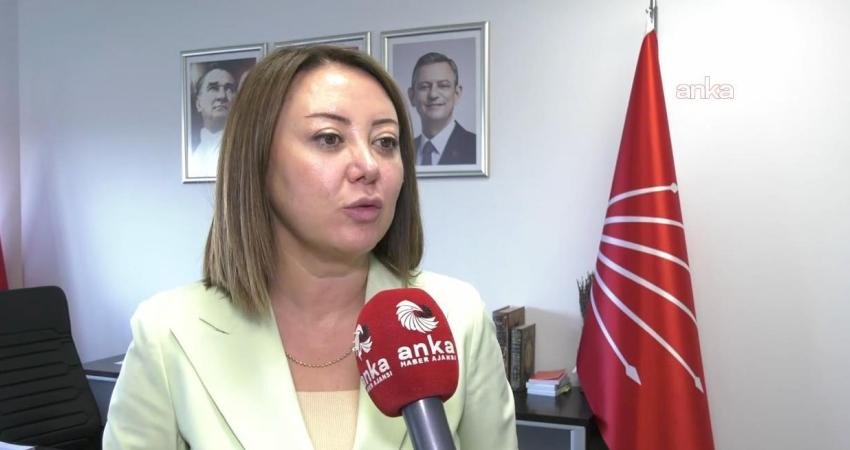 CHP Genel Başkan Yardımcısı Gül Çiftci Binici, "Yargı iktidarın değil,