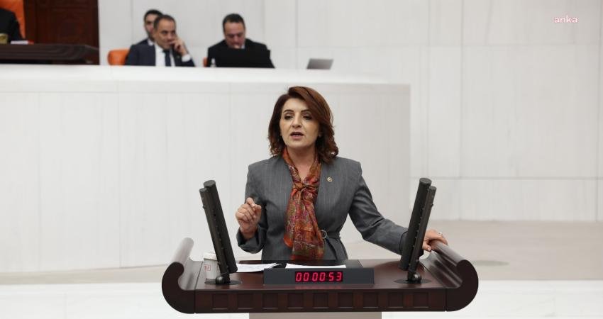 CHP’li Gülcan Kış: “Vatandaş ev kirasını ödemek için bile bankalardan borç çekiyor” CHP Mersin Milletvekili Gülcan Kış, "Hazine kasasında 321 milyar lira