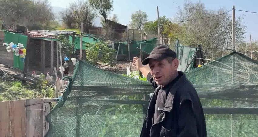 Manisa'nın Soma ilçesine bağlı Kozanlı Mahallesi'nde yaşayan bir kişi CİMER'e