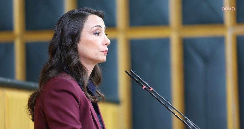 DEM Parti Eş Genel Başkanı Tülay Hatimoğulları, atılmayan her adımın ve