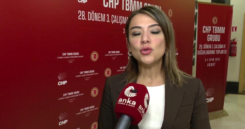  CHP Genel Başkan Yardımcısı Gamze Taşcıer, "Hem Meclis’te yasama faaliyetlerini