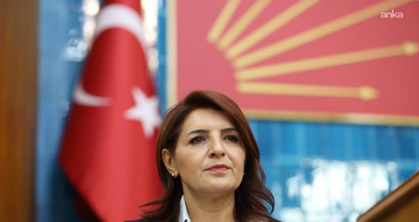 CHP Mersin Milletvekili Gülcan Kış, Çalışma ve Sosyal Güvenlik Bakanı