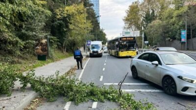 İstanbul Büyükşehir Belediyesi (İBB) ekipleri, kuvvetli rüzgâr ve yerel sağanak