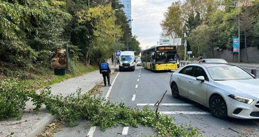İstanbul Büyükşehir Belediyesi (İBB) ekipleri, kuvvetli rüzgâr ve yerel sağanak