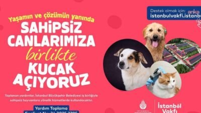 İstanbul Vakfı, İBB Veteriner Hizmetleri Şube Müdürlüğü işbirliğiyle “Sahipsiz Hayvanlara