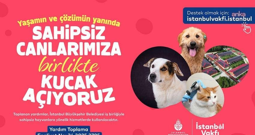 İstanbul Vakfı, İBB Veteriner Hizmetleri Şube Müdürlüğü işbirliğiyle “Sahipsiz Hayvanlara