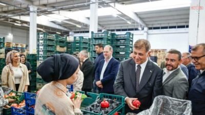 İzmir Büyükşehir Belediye Başkanı Cemil Tugay, Selçuklu çiftçilerle nar hasadı