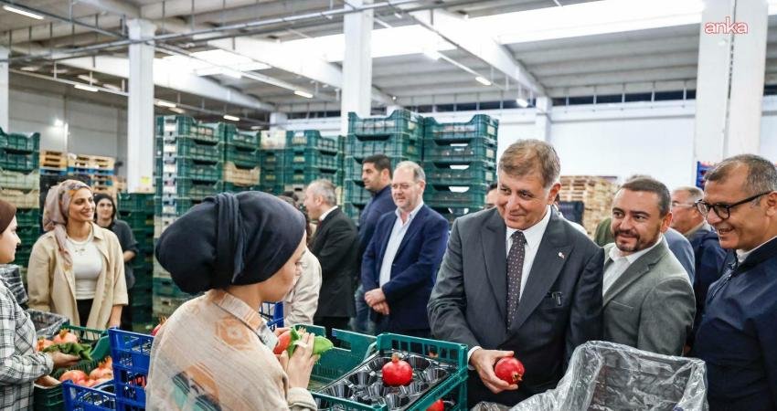 İzmir Büyükşehir Belediye Başkanı Cemil Tugay, Selçuklu çiftçilerle nar hasadı