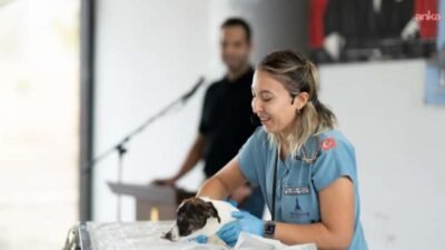 İzmir Büyükşehir Belediyesi, 4 Ekim Dünya Hayvanları Koruma Günü nedeniyle,