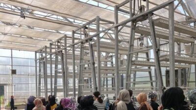 İzmir Büyükşehir Belediyesi, Dünya Çiftçi Kadınlar Günü’nde Kadifekale Mahalle Bostanları’nda