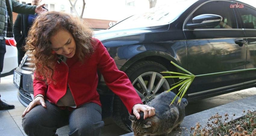 Karşıyaka’da can dostlar için 25 ton mama toplandı Karşıyaka Belediyesi’nin ruhsat ve oturma raporu başvurularında uyguladığı mama bağışı