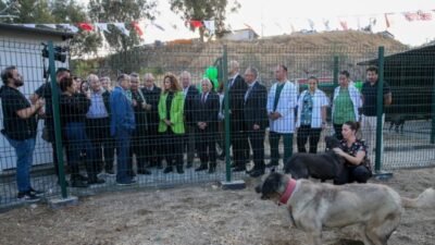 Sokak hayvanlarına yönelik proje ve hizmetleriyle adından söz ettiren Karşıyaka