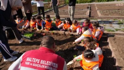 Maltepe Belediyesi’nin çocuklara tarımı ve doğayı sevdirmek amacıyla hayata geçirdiği