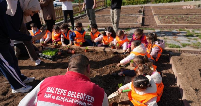 Maltepe Belediyesi’nin çocuklara tarımı ve doğayı sevdirmek amacıyla hayata geçirdiği