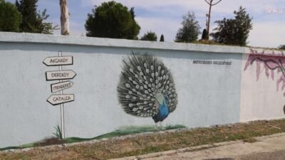 Menderes Belediyesi, Akçaköy Mahallesi’nde duvarlara sanatsal boyama çalışmaları gerçekleştirdi.