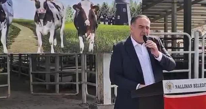  Nallıhan Belediyesi ilçedeki üreticilere yüzde 50 hibeyle 44 gebe düve